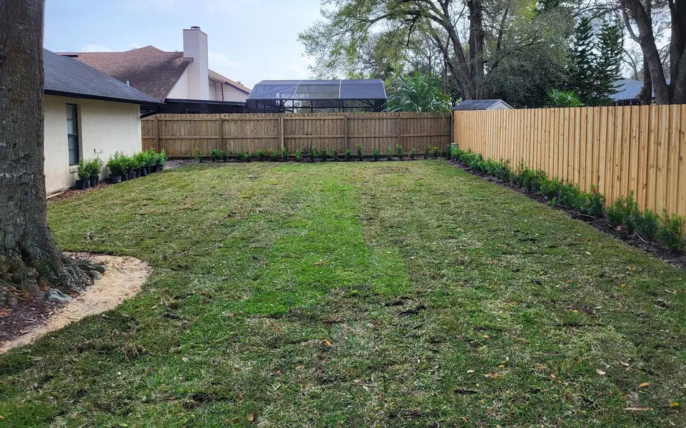 Large backyard of new sod inside a wood privacy fence with shrubs along the line