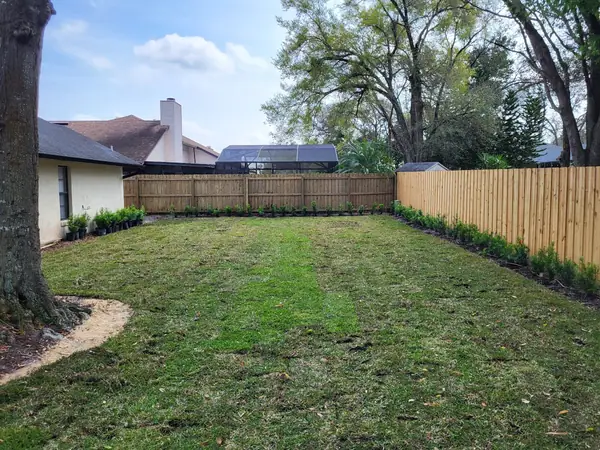 New sod backyard with a row of shrubs along a wood fence
