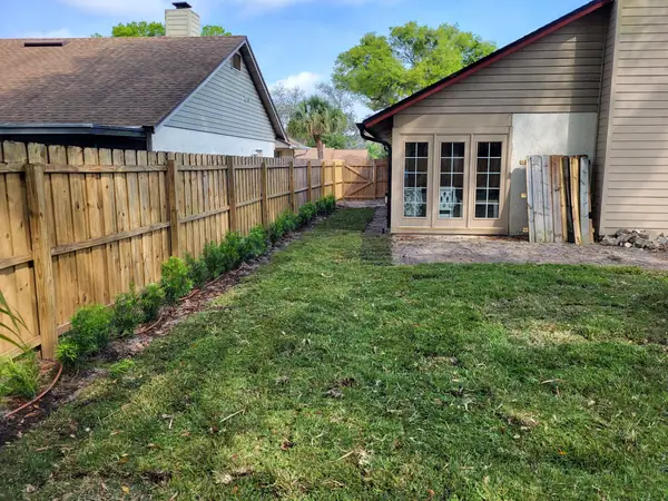 Backyard of new sod along a wood privacy fence with a row of young shrubs