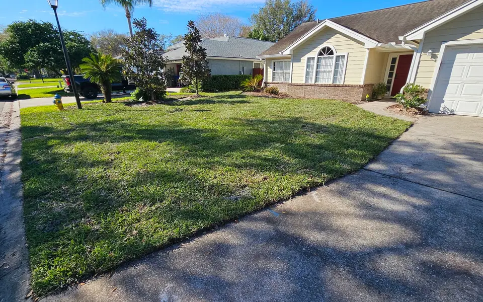 Fresh front lawn of new sod along a curved driveway in an Orlando neighborhood