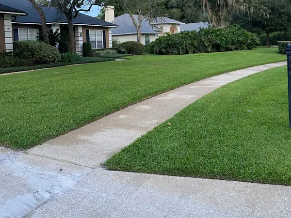 Lawn and walk under live oaks in an Orlando neighborhood