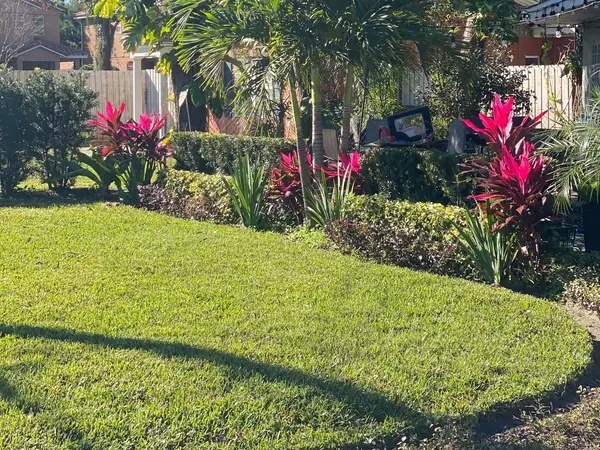 Front yard with palms, red ti plants and a curved St. Augustine lawn in the Orlando area