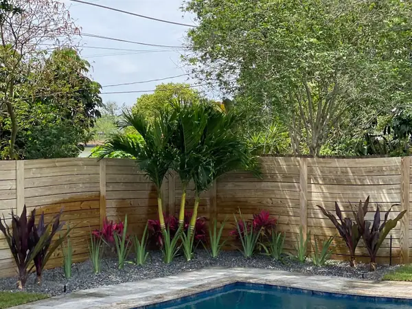 Pool with palms and red ti plants planted along a wood fence