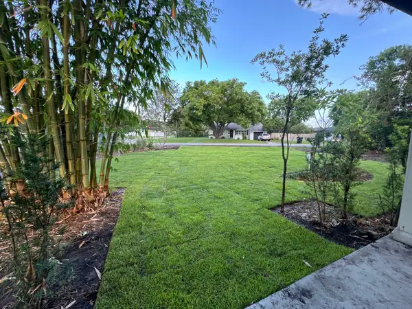 New sod lawn beside a bamboo screen and young trees in mulched beds