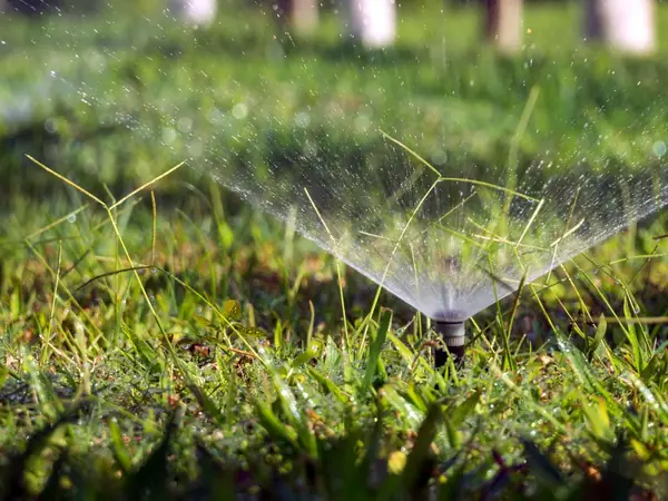 Pop-up sprinkler head spraying across a green lawn