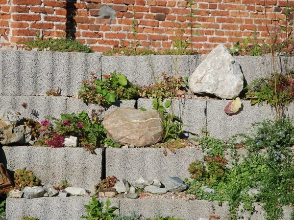 Terraced block walls holding planting beds and stones