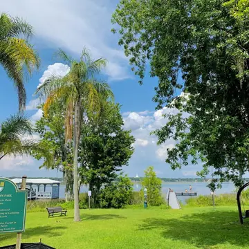 Lake Down Park: lakefront lawn, palms and live oak on Lake Down, Windermere